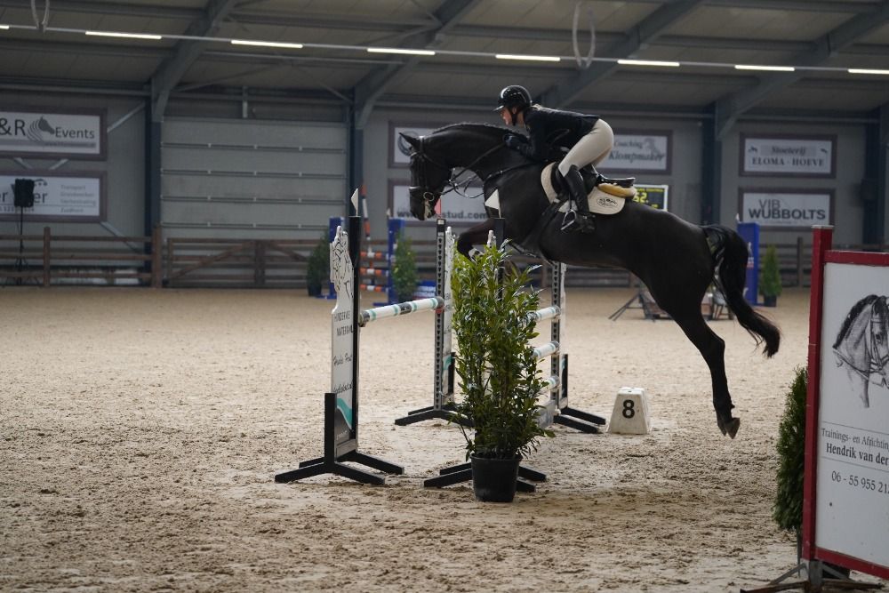 Verkocht/Sold Isabela (Diar Noir * Sandro Boy Jr * Lancer II)