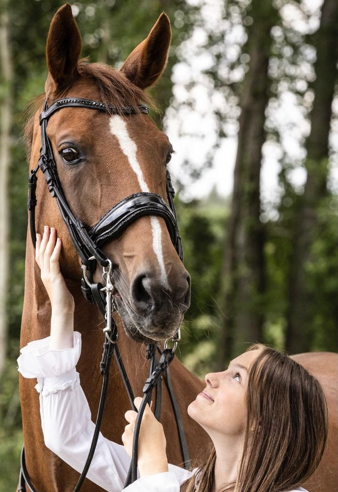 dressuurpaard Merrie 15 years old Vos for sale - Photo 3