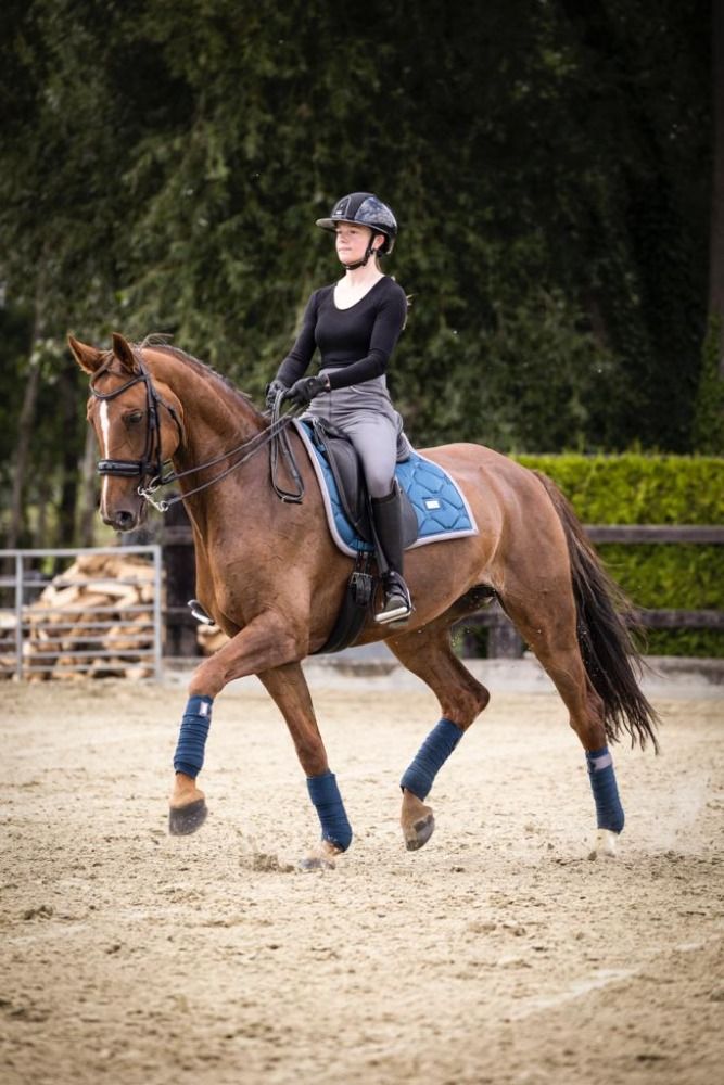 dressuurpaard Merrie 15 years old Vos for sale - Photo 2