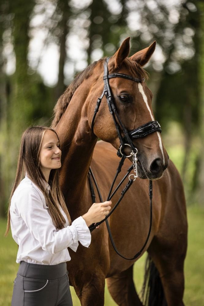 dressuurpaard Merrie 15 years old Vos for sale - Main photo