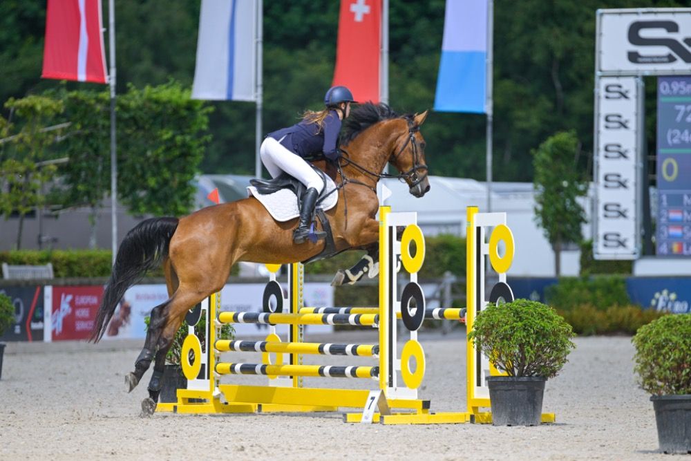 5-jarige ruin te koop