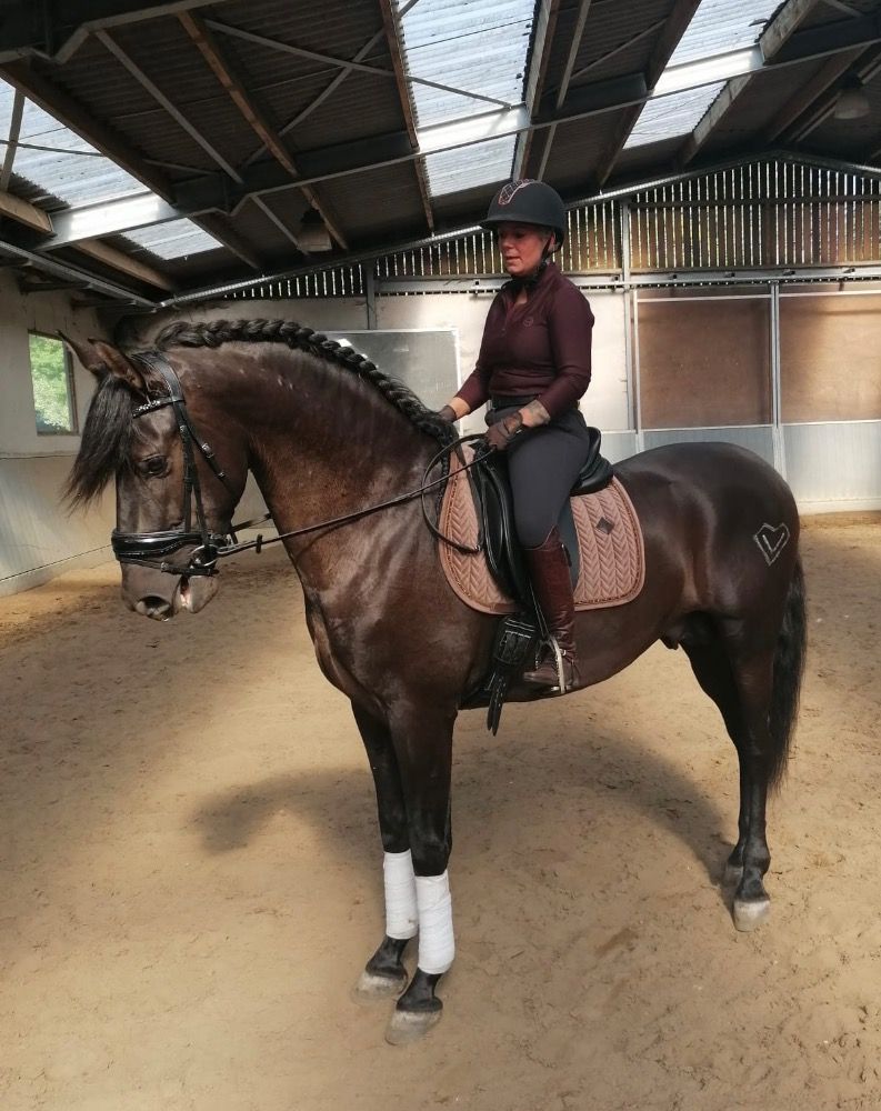 PRE dressuurpaard Ruin 8 jaar Andere te koop - Foto 4