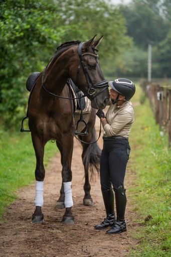 PRE dressuurpaard Ruin 8 jaar Andere te koop - Foto 3