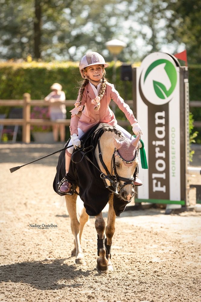 springpony Ruin 8 jaar te koop - Foto 3
