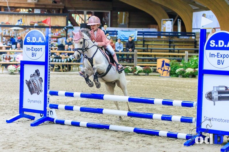 Fantastisch betrouwbare sportpony