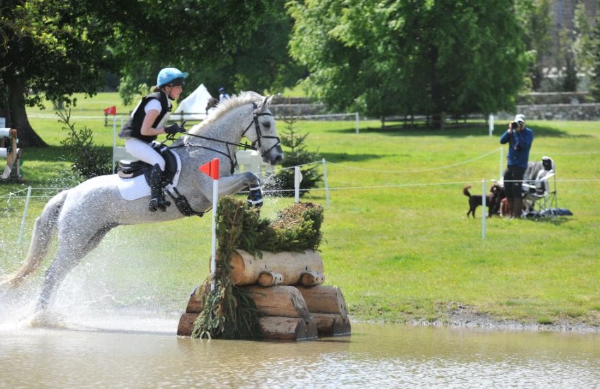 Connemara eventingpony Ruin 11 jaar Schimmel te koop - Foto 3