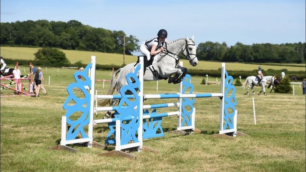 Connemara eventingpony Ruin 11 jaar Schimmel te koop - Foto 4