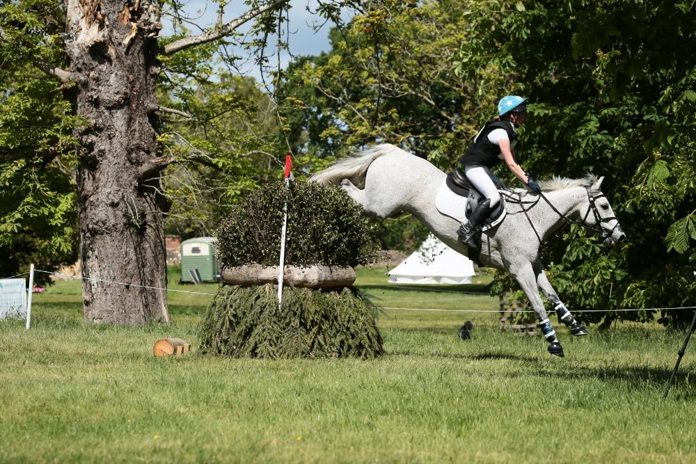 Getalenteerde, leuke en echte FEI -evenementenpony