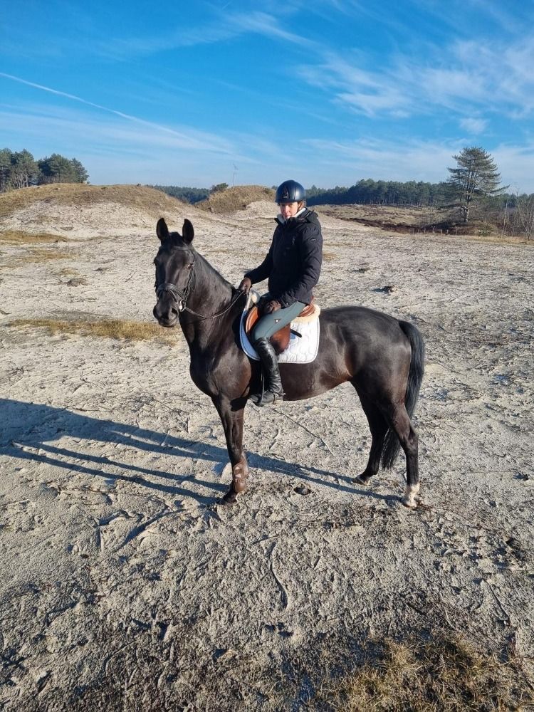 KWPN dressuurpaard Merrie 11 jaar Zwart te koop - Foto 6