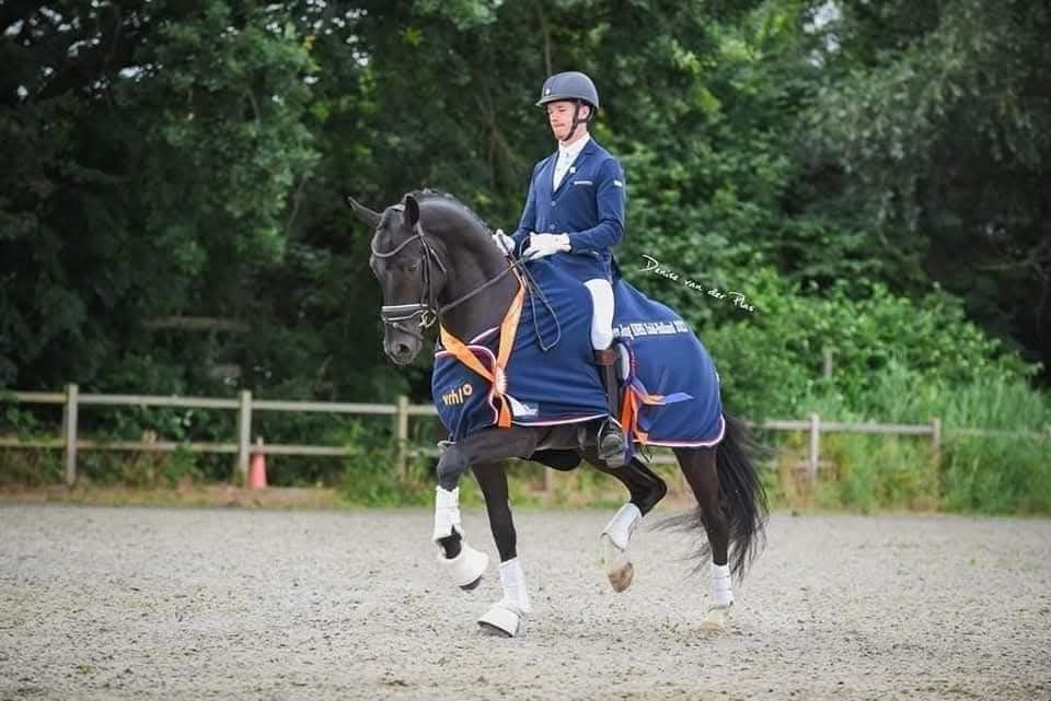 Ervaren 7 jarige ruin voor de toekomst