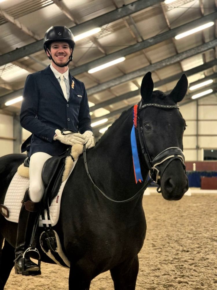 kwpn dressuurpaard ruin 7 jaar zwart te koop - Foto 3