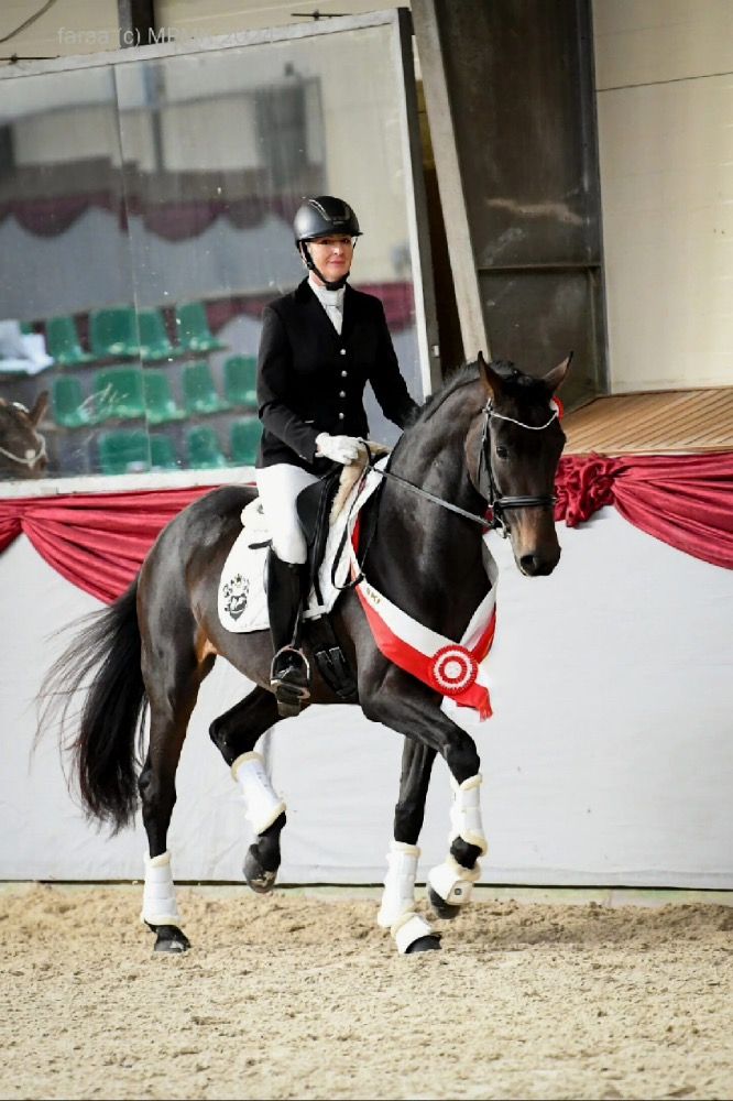 Zegevierende merrie van Frstenball/Sir Donnerhall