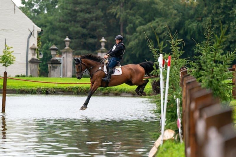 Zangersheide allrounder Ruin 10 jaar Donkerbruin te koop - Foto 2