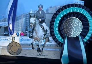 Prachtige talentvolle D pony