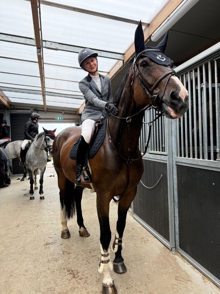 Westfalen springpaard Merrie 14 jaar Bruin te koop - Foto 6