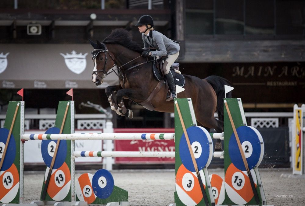 Westfalen springpaard Merrie 14 jaar Bruin te koop - Foto 2