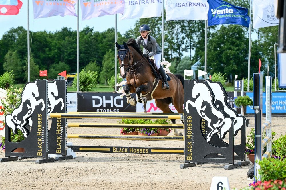 Westfalen springpaard Merrie 14 jaar Bruin te koop - Foto 5