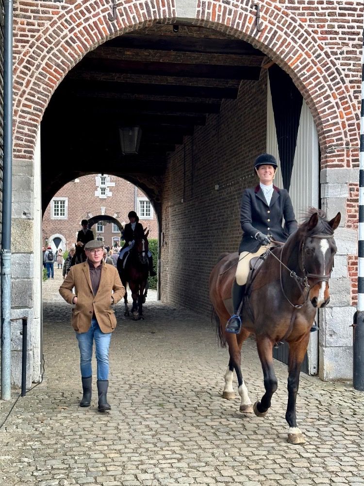 KWPN springpaard Ruin 14 år Donkerbruin till salu - Foto 3