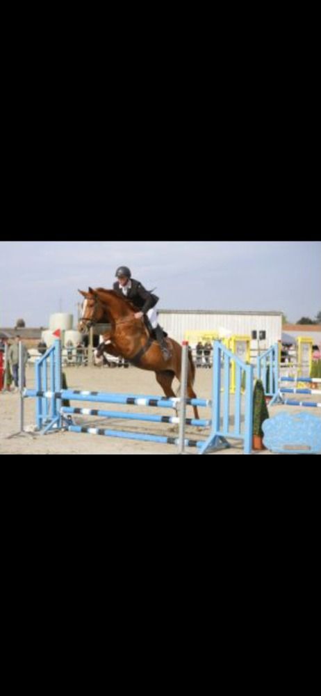 Emerald x Gino H springmerrie met veel kwaliteiten en energy