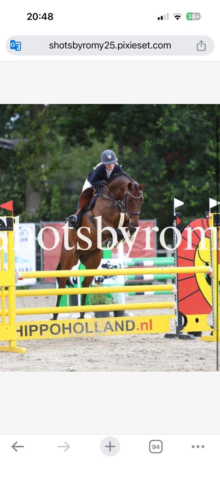 springpaard merrie 8 jaar bruin te koop - Foto 5