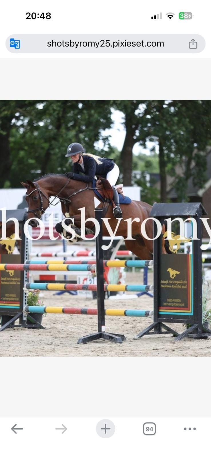 springpaard merrie 8 jaar bruin te koop - Foto 4
