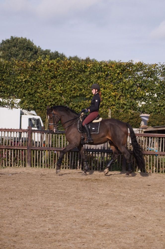 13-jarige brave ruin