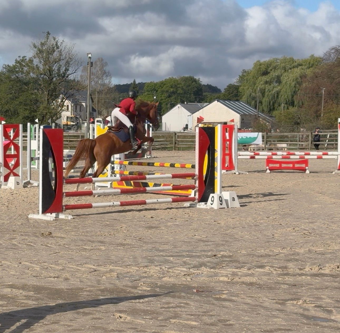 sbs springpaard merrie 4 years old vos for sale - Photo 2