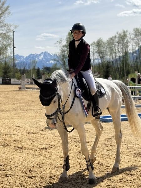 Ander stamboek springpaard Merrie 9 years old Schimmel for sale - Photo 4