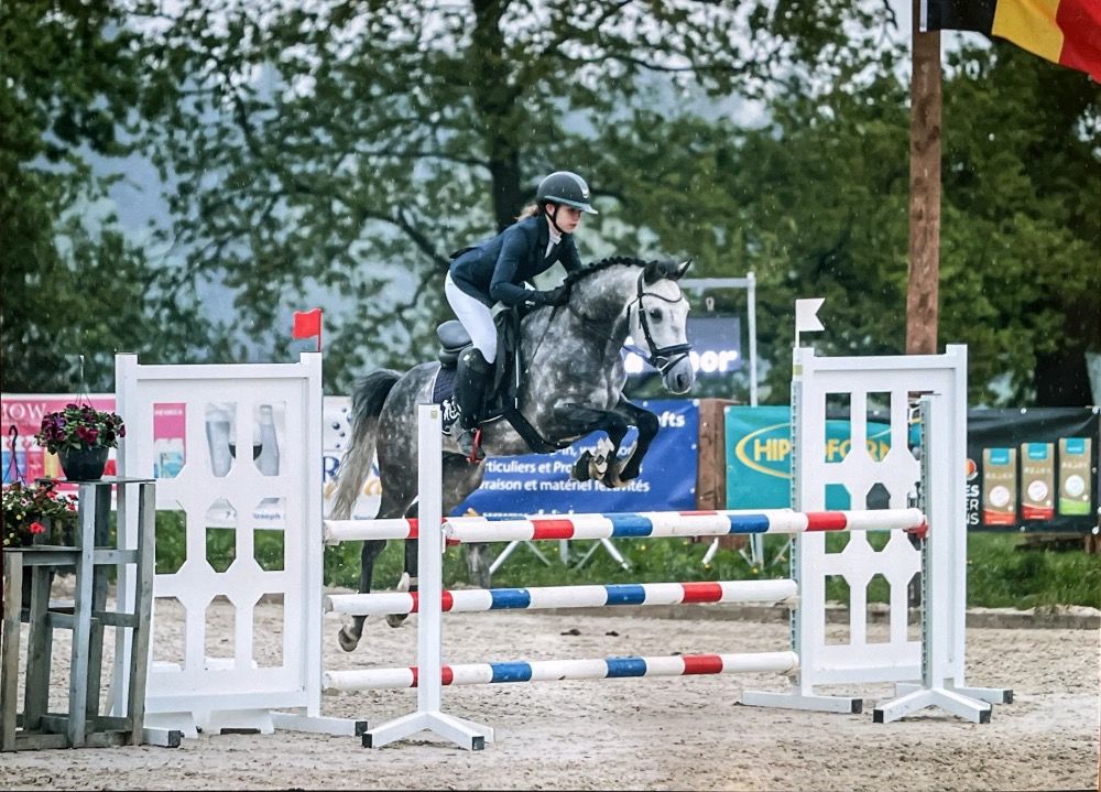BWP allround-pony Merrie Schimmel te koop - Foto 3