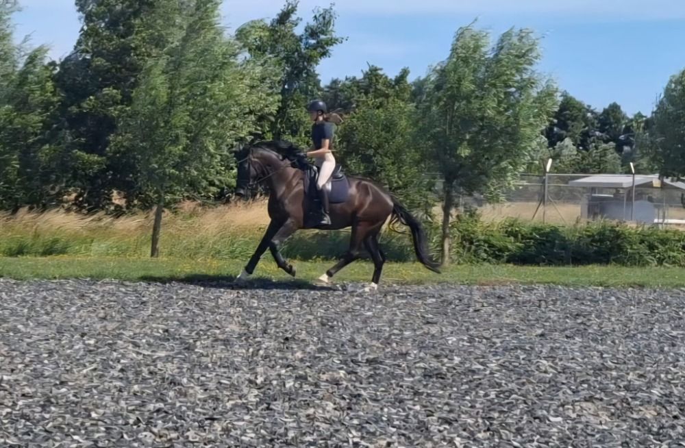 Stoere recreatie ruin