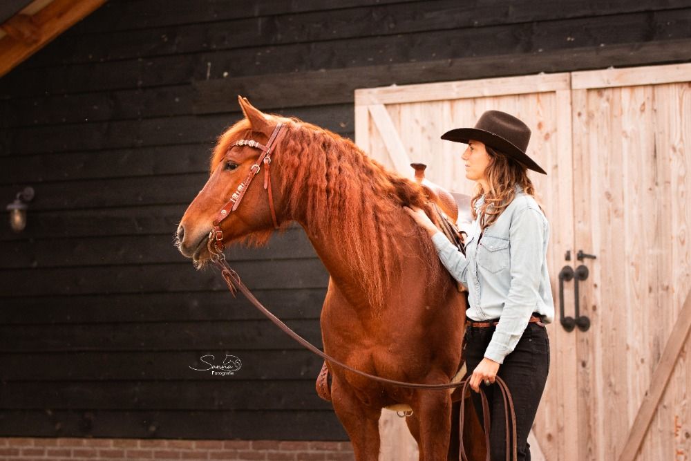 Quarter Horse western paard Merrie 10 jaar Vos te koop - Foto 2