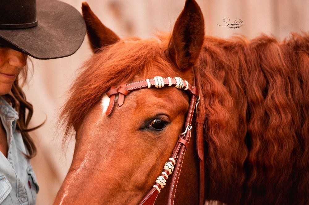 Quarter Horse western paard Merrie 10 jaar Vos te koop - Foto 6