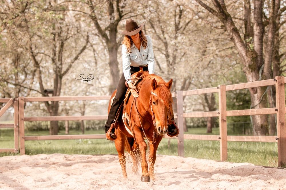 Quarter Horse western paard Merrie 10 jaar Vos te koop - Foto 4