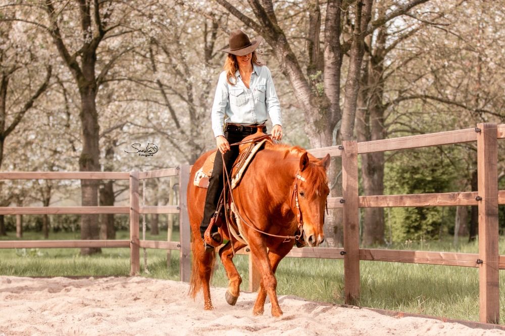 Quarter Horse western paard Merrie 10 jaar Vos te koop - Foto 5