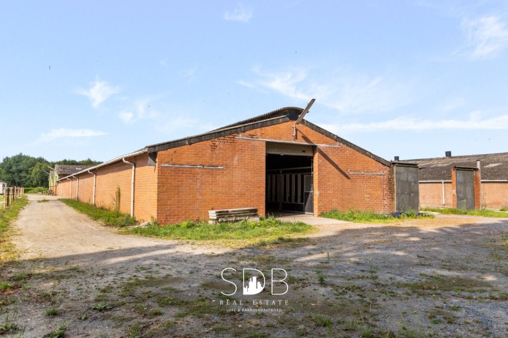 Boerderij met paardenfaciliteiten en graslanden op 14.490m + extra 5,5 Hectare mogelijk te Antwerpen | België - Foto 5