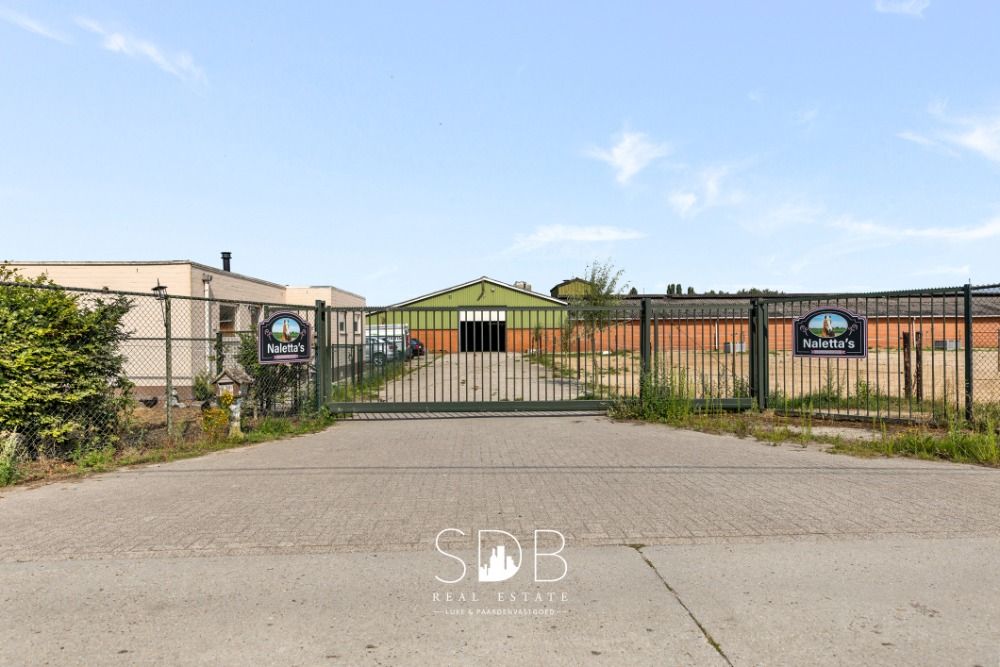 Boerderij met paardenfaciliteiten en graslanden op 14.490m + extra 5,5 Hectare mogelijk te Antwerpen | België - Foto 3