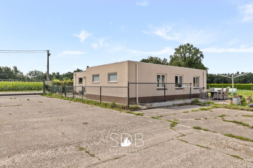 Boerderij met paardenfaciliteiten en graslanden op 14.490m + extra 5,5 Hectare mogelijk te Antwerpen | België - Foto 4