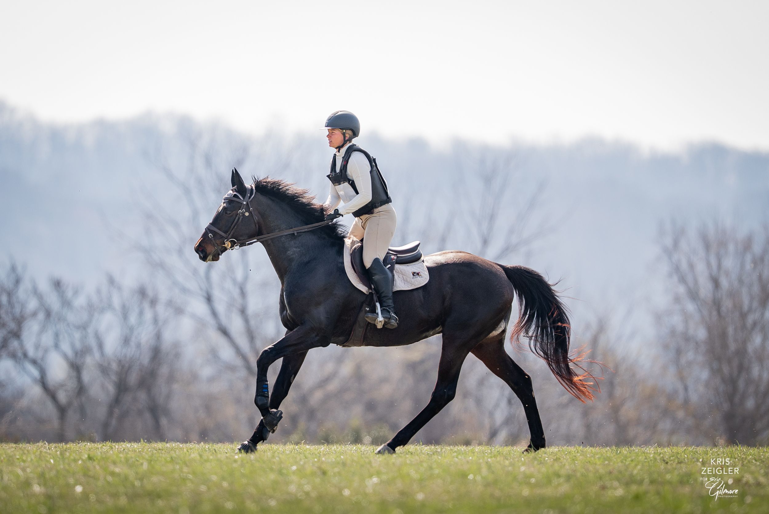 Thoroughbred dressuurpaard gelding 9 years old Bay for sale - Photo 5