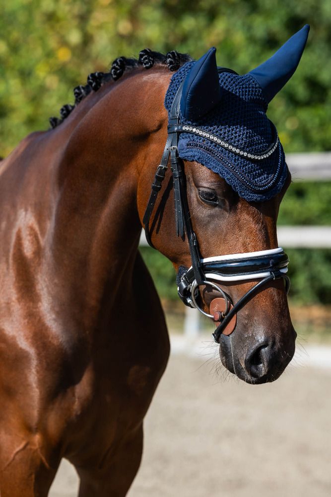 KWPN dressuurpaard Merrie 3 jaar Bruin te koop - Foto 2