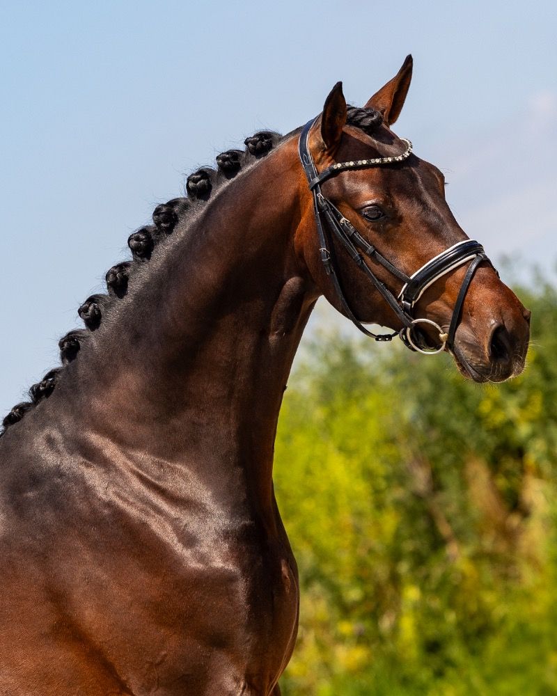 Sir Glamourdale