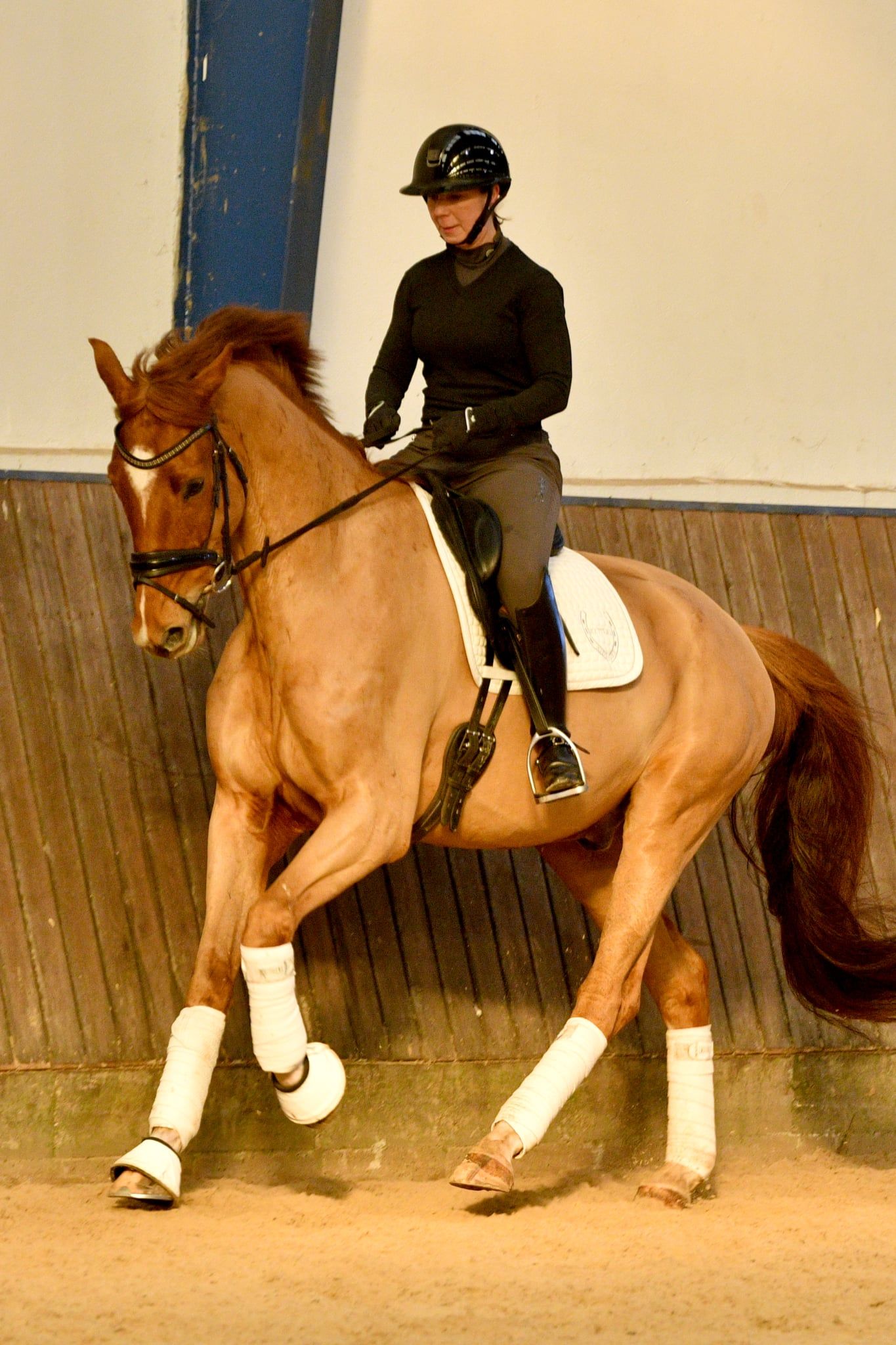 Meldgaards Jakarta
