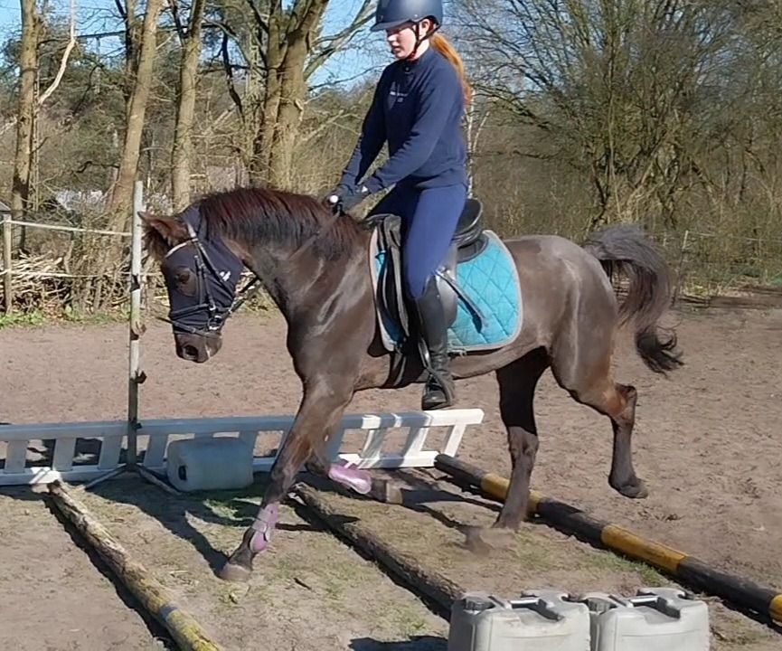 Sportpony voor 3850 met spullen