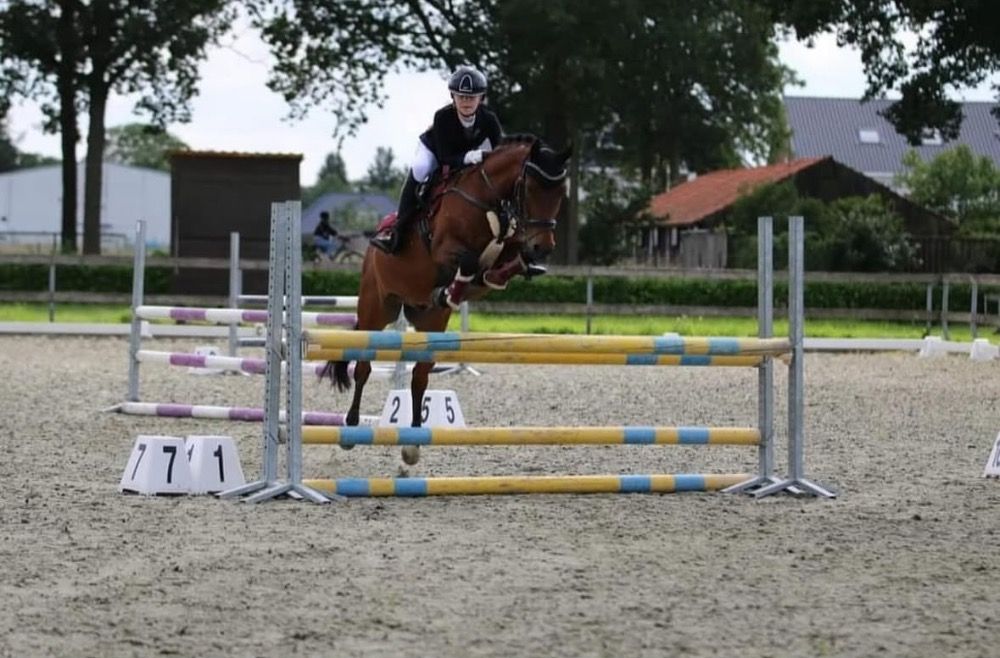 Knappe C pony te koop