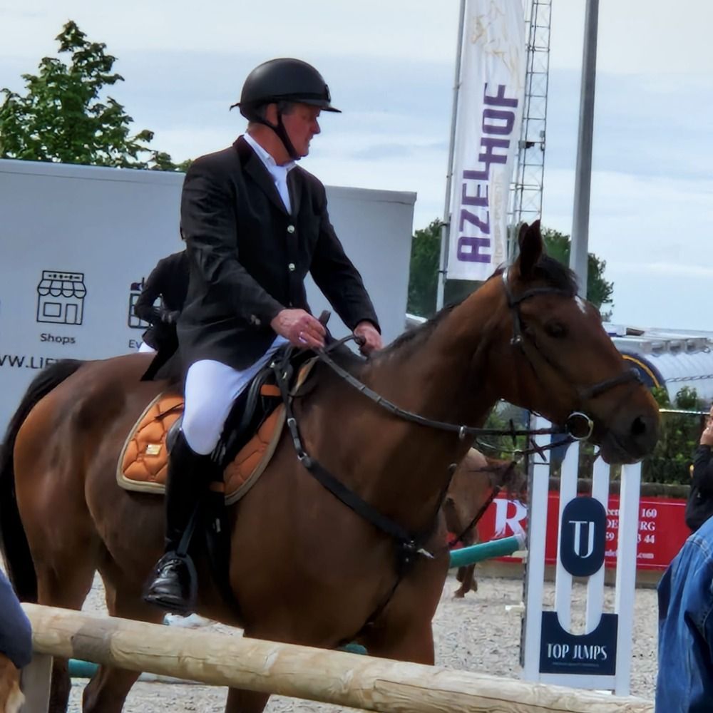 SBS springpaard Ruin 13 jaar Bruin te koop - Foto 3