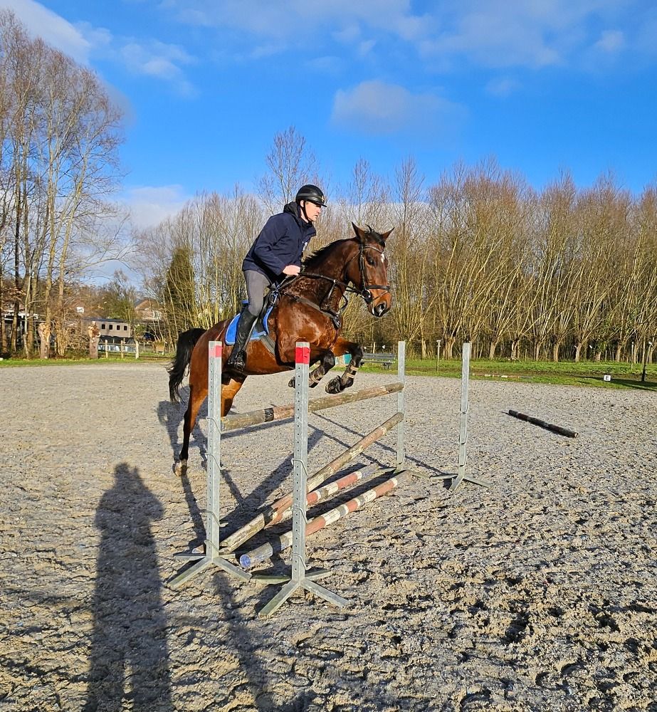 Tof springpaard VERKOCHT