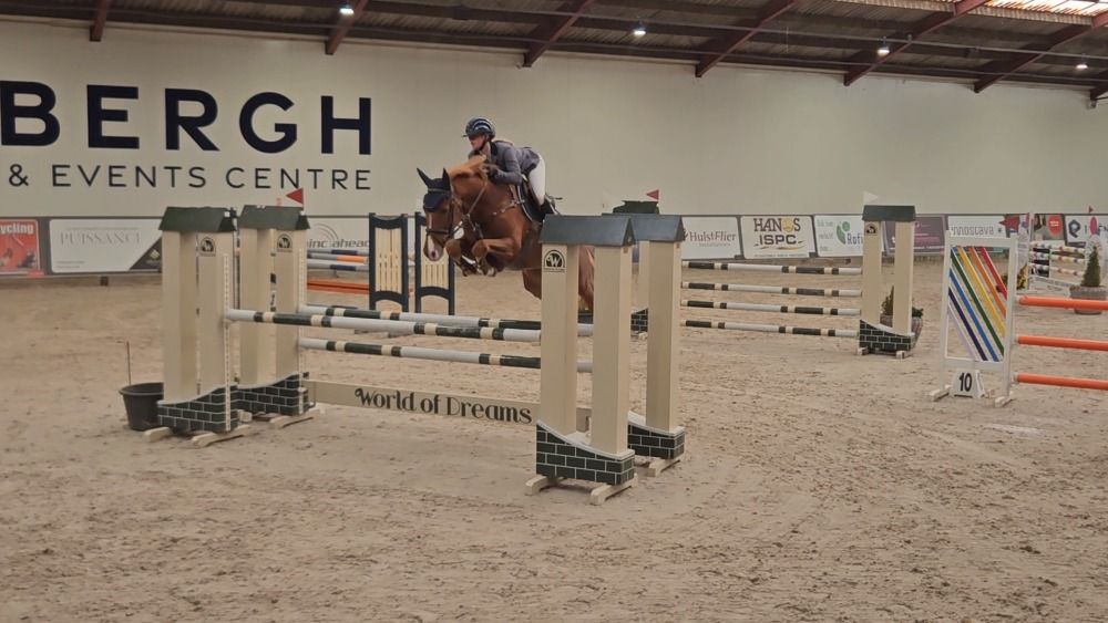 Zangersheide springpaard Ruin 5 jaar Vos te koop - Hoofdfoto