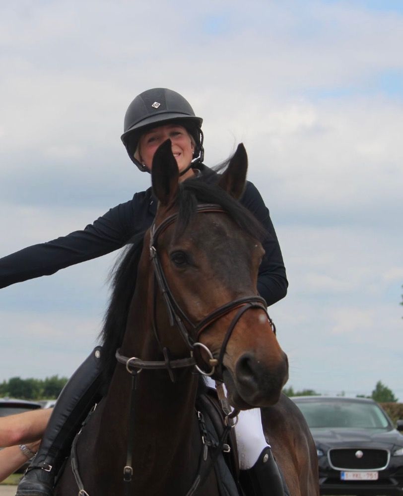 Zangersheide springpaard Ruin 4 jaar Donkerbruin te koop - Foto 5