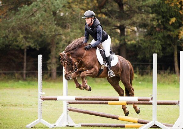 Estonian Native Horse dressage, show jumping stallion 21.06.2024 歳 Dun 売り出し中 - 写真 3