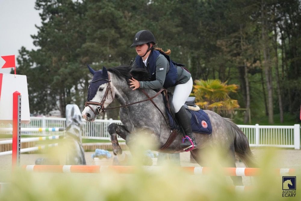 Franse pony springpony Ruin 4 jaar Schimmel te koop - Foto 5