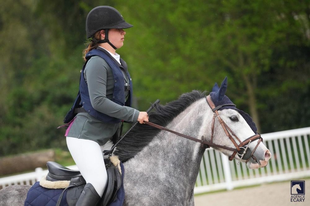 Franse pony springpony Ruin 4 jaar Schimmel te koop - Foto 4